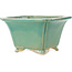 Square green craquelé bonsai pot by Shibakatsu - 135 x 135 x 78 mm