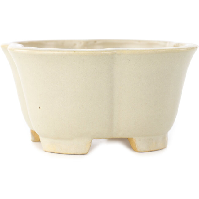 Mokko witte bonsai pot van Shibakatsu - 135 x 135 x 65 mm