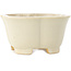 Maceta para bonsái Mokko de color blanco de Shibakatsu - 135 x 135 x 65 mm