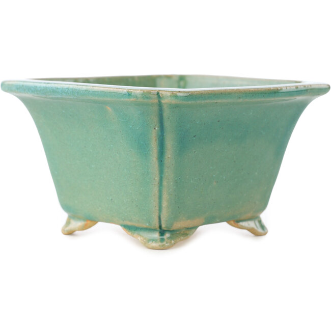 Quadratischer grüner Craquelé-Bonsaitopf von Shibakatsu – 135 x 135 x 78 mm