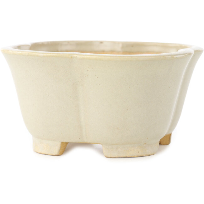 Pot à bonsaï Mokko blanc de Shibakatsu - 135 x 135 x 65 mm