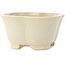 Maceta para bonsái Mokko de color blanco de Shibakatsu - 135 x 135 x 65 mm