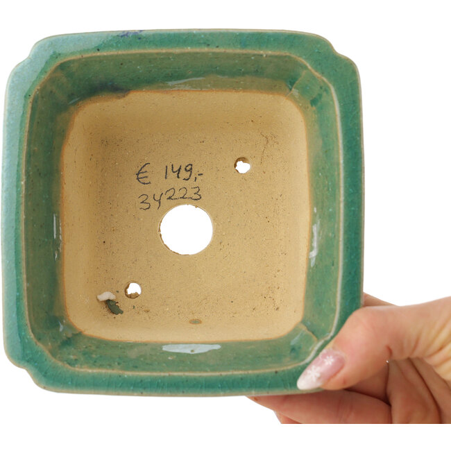 Pot à bonsaï carré vert craquelé par Shibakatsu - 135 x 135 x 78 mm