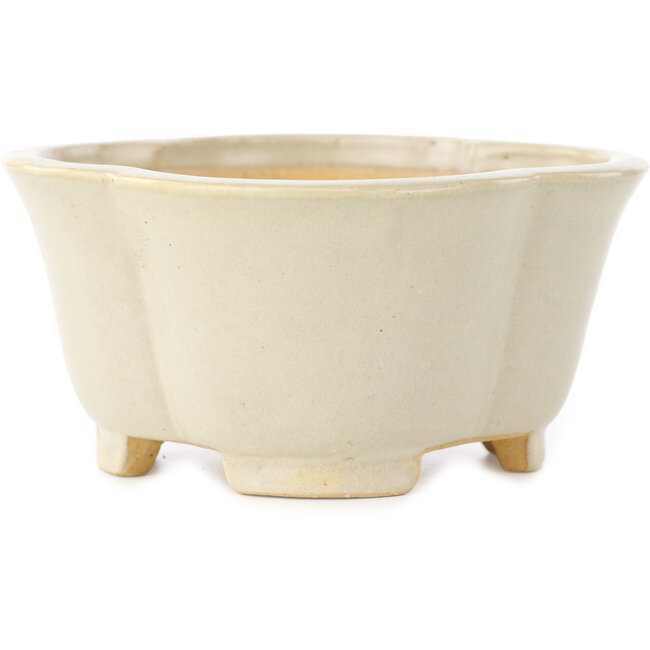 Maceta para bonsái Mokko de color blanco de Shibakatsu - 135 x 135 x 65 mm