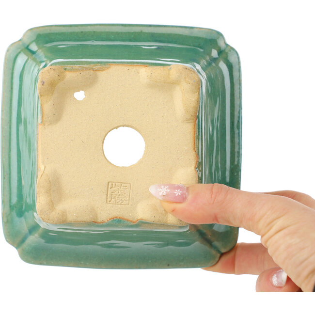 Vierkante groene craquelé bonsaipot van Shibakatsu - 135 x 135 x 78 mm