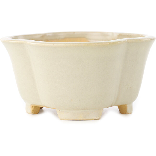 Mokko white bonsai pot by Shibakatsu - 135 x 135 x 65 mm