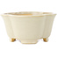 Maceta para bonsái Mokko de color blanco de Shibakatsu - 135 x 135 x 65 mm