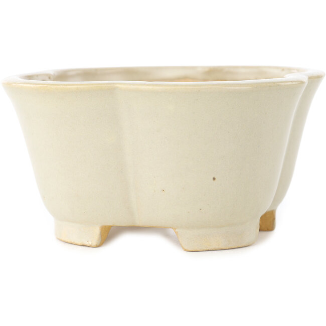 Pot à bonsaï Mokko blanc de Shibakatsu - 135 x 135 x 65 mm