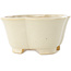 Maceta para bonsái Mokko de color blanco de Shibakatsu - 135 x 135 x 65 mm