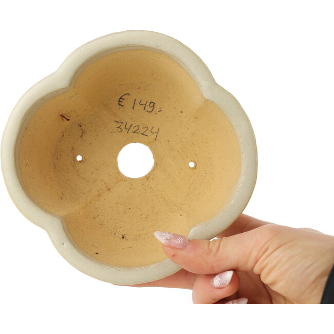 Maceta para bonsái Mokko de color blanco de Shibakatsu - 135 x 135 x 65 mm