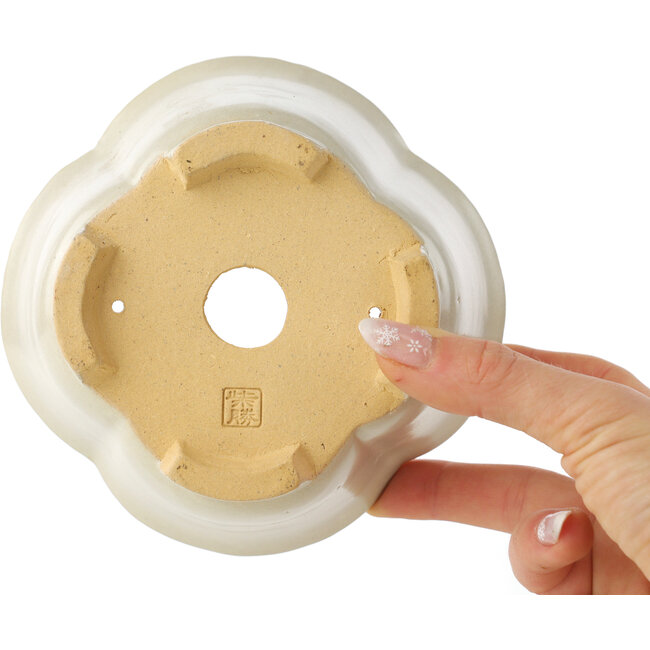 Maceta para bonsái Mokko de color blanco de Shibakatsu - 135 x 135 x 65 mm