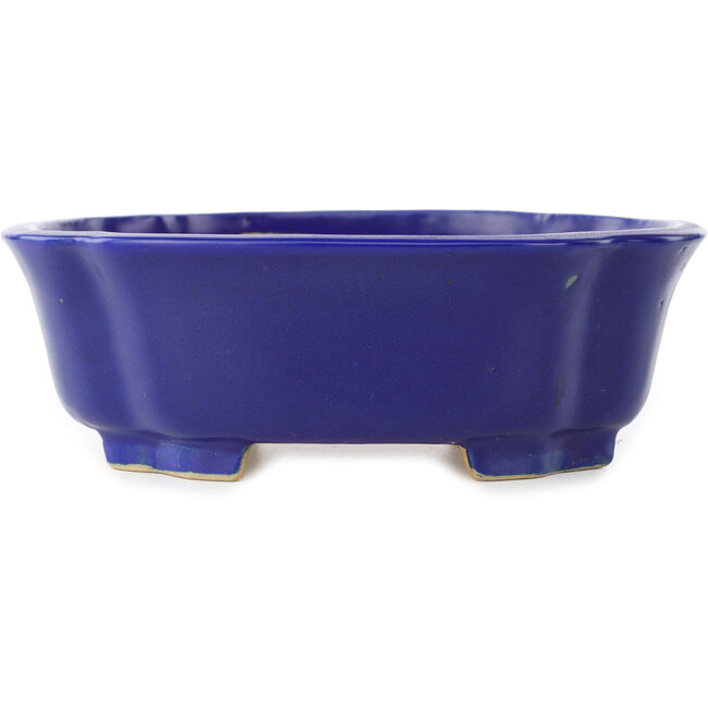 Pot à bonsaï Mokko bleu foncé de Shibakatsu - 192 x 160 x 63 mm