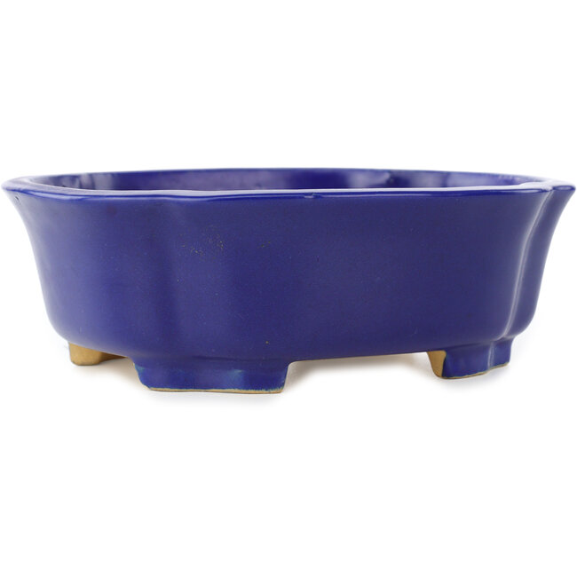 Maceta para bonsái azul oscuro Mokko de Shibakatsu - 192 x 160 x 63 mm