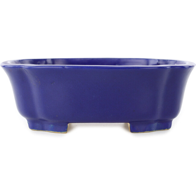 Vaso bonsai Mokko blu scuro di Shibakatsu - 192 x 160 x 63 mm