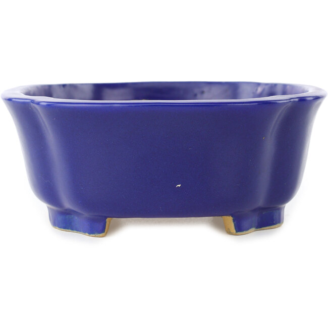 Pot à bonsaï Mokko bleu foncé de Shibakatsu - 192 x 160 x 63 mm