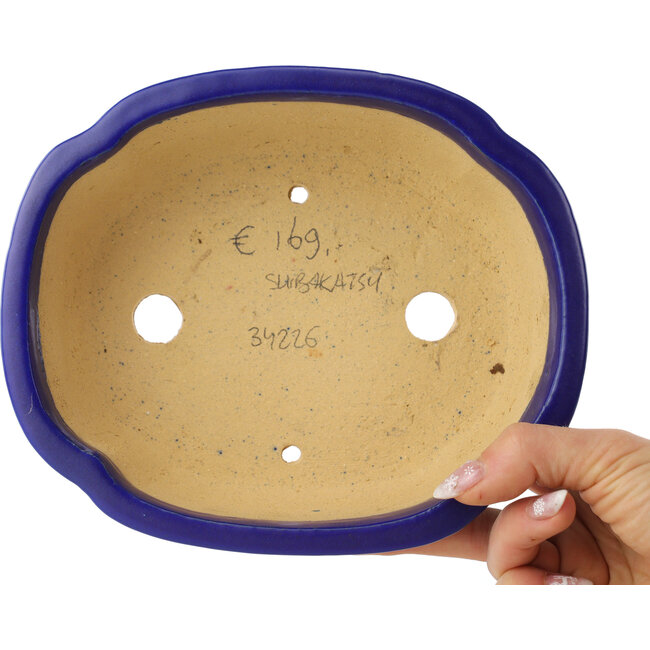 Maceta para bonsái azul oscuro Mokko de Shibakatsu - 192 x 160 x 63 mm