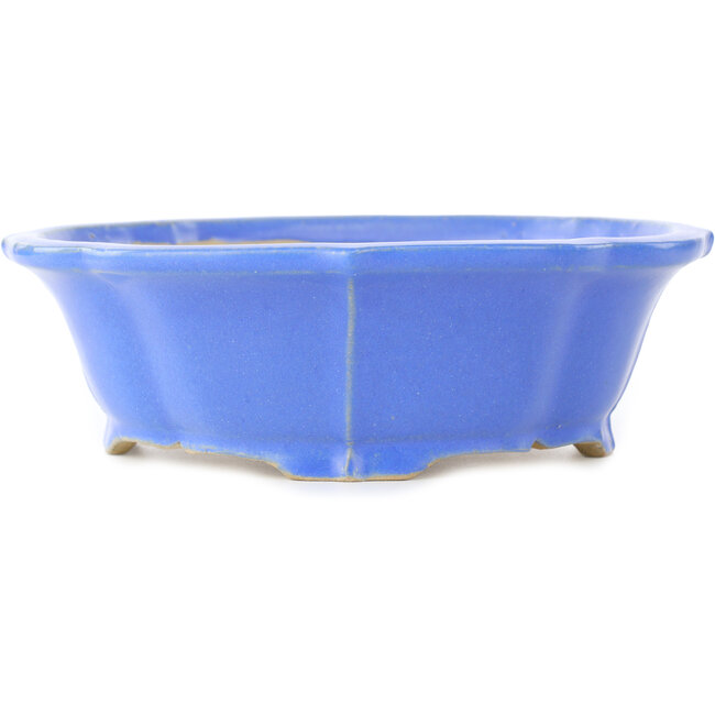 Vaso bonsai blu Lotus di Shibakatsu - 195 x 175 x 60 mm