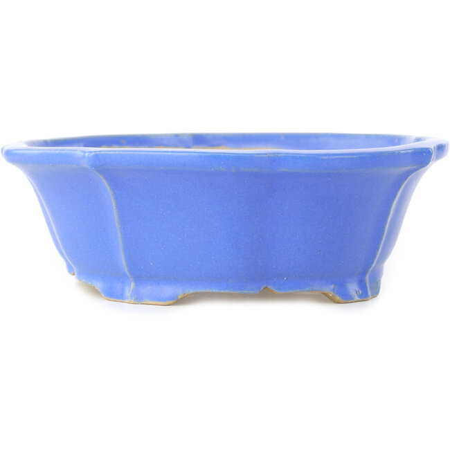 Lotus blue bonsai pot by Shibakatsu - 195 x 175 x 60 mm