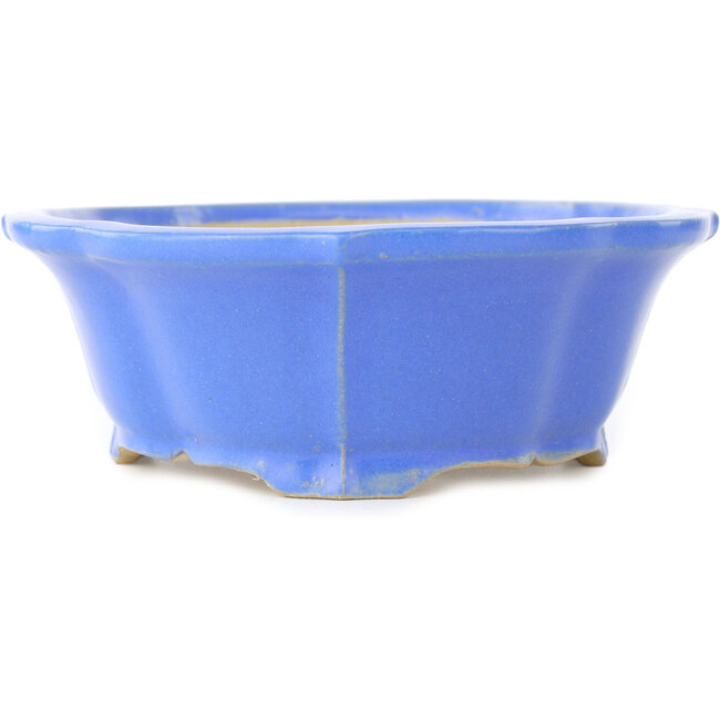 Maceta para bonsái con forma de loto azul de Shibakatsu - 195 x 175 x 60 mm