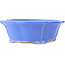 Vaso bonsai blu Lotus di Shibakatsu - 195 x 175 x 60 mm