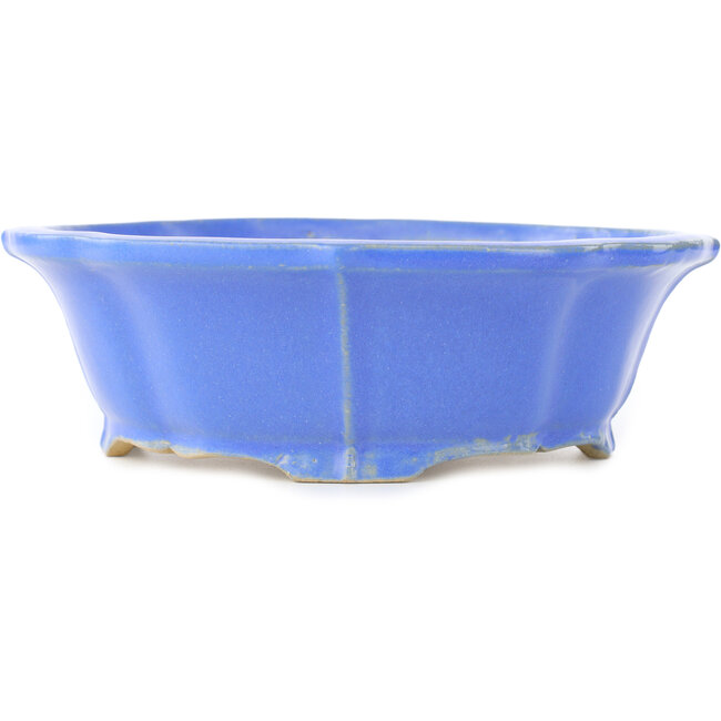 Lotus blue bonsai pot by Shibakatsu - 195 x 175 x 60 mm