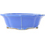 Vaso bonsai blu Lotus di Shibakatsu - 195 x 175 x 60 mm