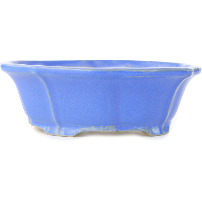 Lotus blue bonsai pot by Shibakatsu - 195 x 175 x 60 mm