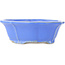 Vaso bonsai blu Lotus di Shibakatsu - 195 x 175 x 60 mm