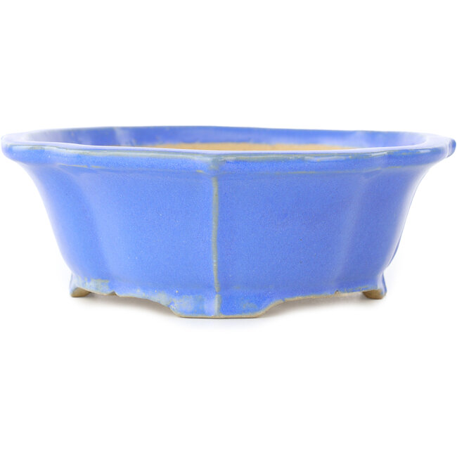 Lotus blue bonsai pot by Shibakatsu - 195 x 175 x 60 mm