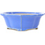 Vaso bonsai blu Lotus di Shibakatsu - 195 x 175 x 60 mm