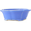 Vaso bonsai blu Lotus di Shibakatsu - 195 x 175 x 60 mm