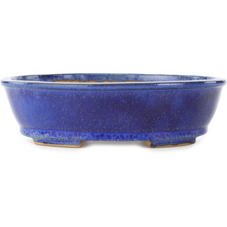  Shibakatsu (Katsuichi Shibata) 183 mm oval dark blue bonsai pot by Shibakatsu, Tokoname, Japan