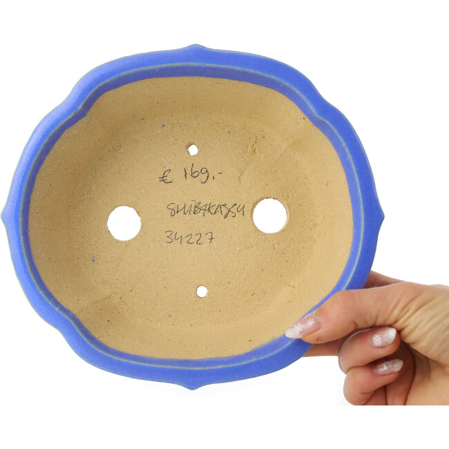 Maceta para bonsái con forma de loto azul de Shibakatsu - 195 x 175 x 60 mm