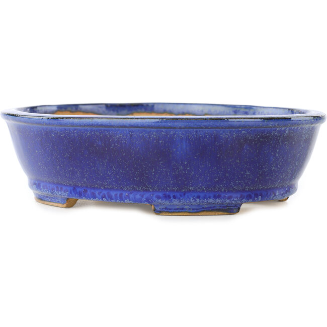 Vaso bonsai ovale blu scuro di Shibakatsu - 183 x 155 x 50 mm