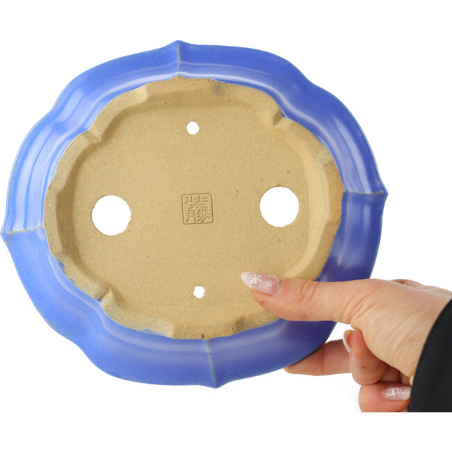 Maceta para bonsái con forma de loto azul de Shibakatsu - 195 x 175 x 60 mm