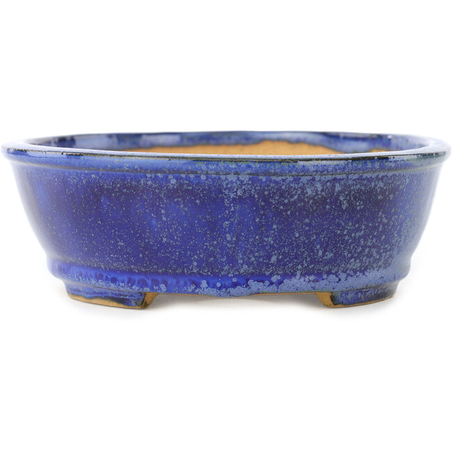 Pot à bonsaï ovale bleu foncé de Shibakatsu - 183 x 155 x 50 mm
