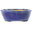 Pot à bonsaï ovale bleu foncé de Shibakatsu - 183 x 155 x 50 mm