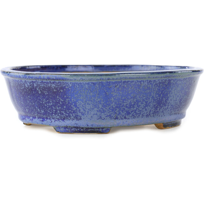 Maceta ovalada para bonsái de color azul oscuro de Shibakatsu - 183 x 155 x 50 mm