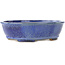 Oval dark blue bonsai pot by Shibakatsu - 183 x 155 x 50 mm