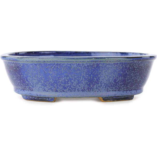 Ovale donkerblauwe bonsaipot van Shibakatsu - 183 x 155 x 50 mm