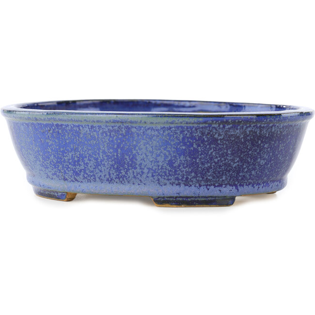 Vaso bonsai ovale blu scuro di Shibakatsu - 183 x 155 x 50 mm