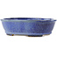 Oval dark blue bonsai pot by Shibakatsu - 183 x 155 x 50 mm