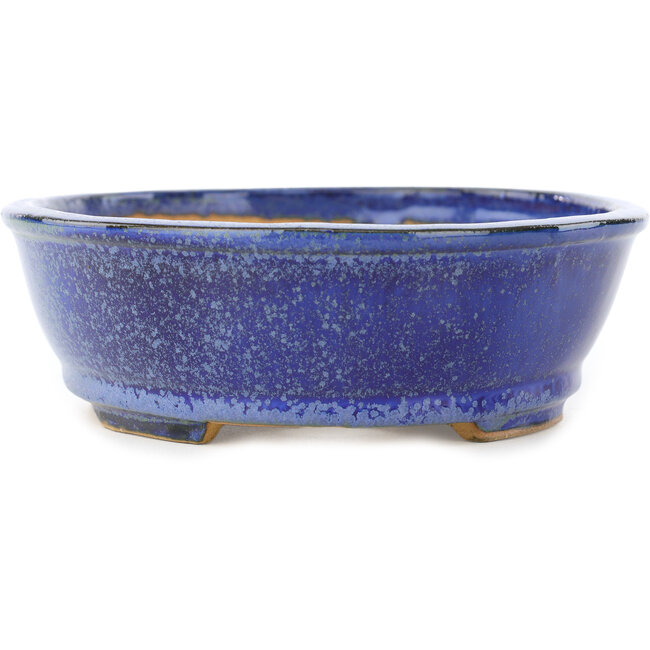 Ovale donkerblauwe bonsaipot van Shibakatsu - 183 x 155 x 50 mm
