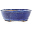 Oval dark blue bonsai pot by Shibakatsu - 183 x 155 x 50 mm