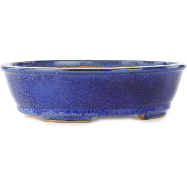 Ovale donkerblauwe bonsaipot van Shibakatsu - 183 x 155 x 50 mm