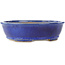 Oval dark blue bonsai pot by Shibakatsu - 183 x 155 x 50 mm