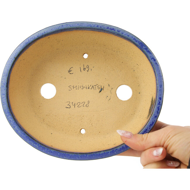 Vaso bonsai ovale blu scuro di Shibakatsu - 183 x 155 x 50 mm
