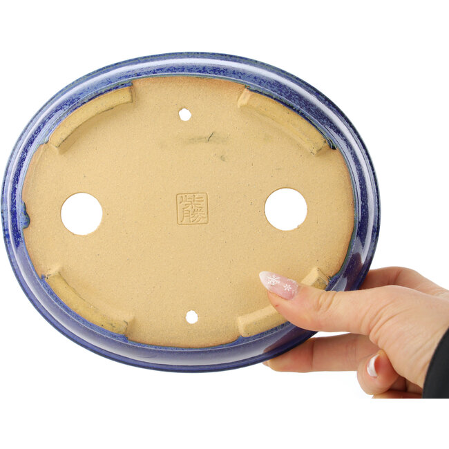 Ovale donkerblauwe bonsaipot van Shibakatsu - 183 x 155 x 50 mm