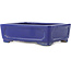 Maceta rectangular para bonsái de color azul oscuro de Shibakatsu - 153 x 120 x 47 mm