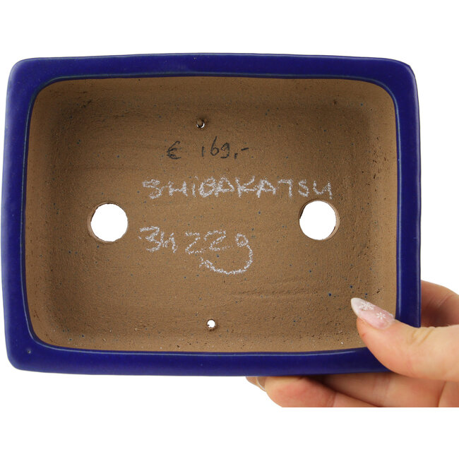 Rechthoekige donkerblauwe bonsaipot van Shibakatsu - 153 x 120 x 47 mm
